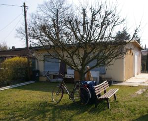 Die letzten Gartenbilder